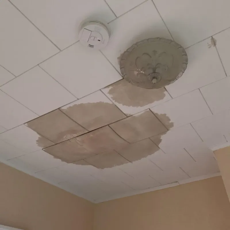 Ceiling Water Damage Repair in Wakarusa, IN