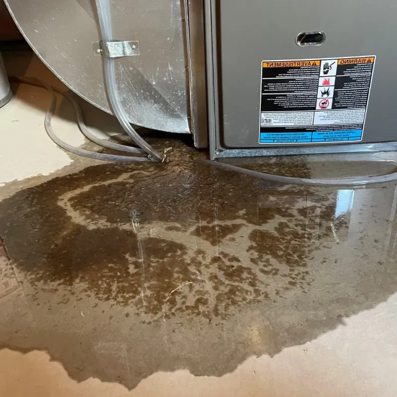 Pipe Burst and Leak Restoration in Wakarusa, IN