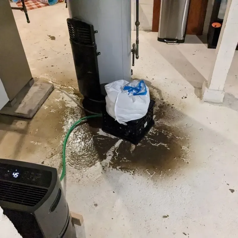 Sewage Backup Cleanup Service in Wakarusa, IN